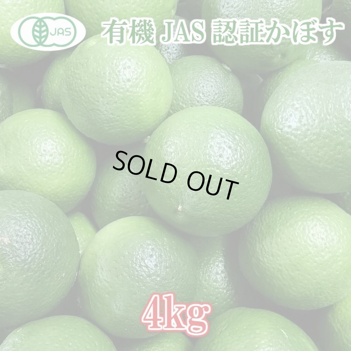 画像2: お早めにご注文を！【11/30まで発送終了】！無農薬・無添加・オーガニック【かぼす】有機かぼす 4kg　(約40個分) (2)