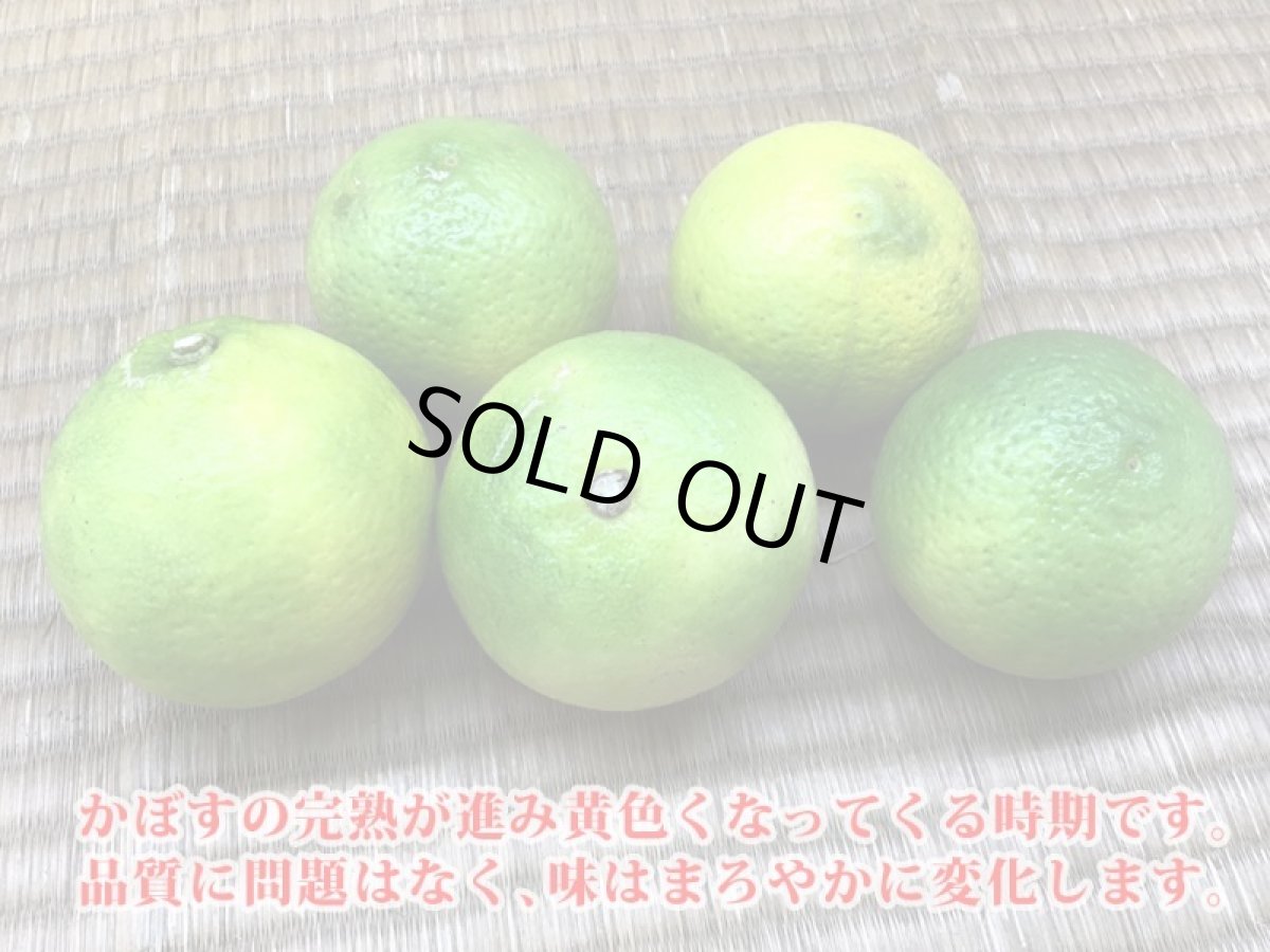 画像3: 【送料無料】加工用原料 オーガニック有機かぼす 4kg (3)