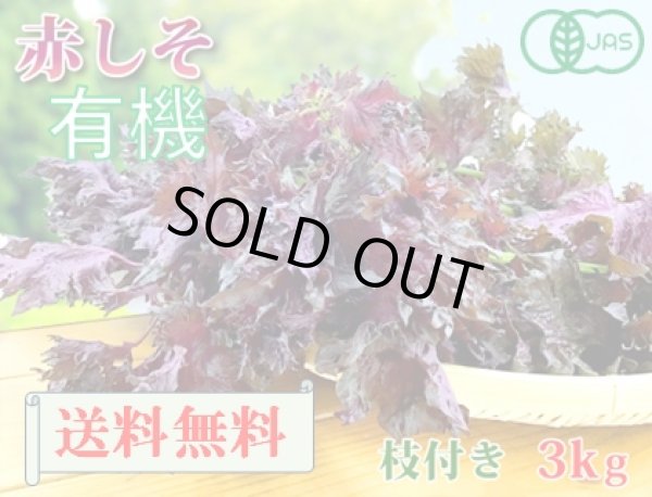 赤しそちりめんを全国へ通販