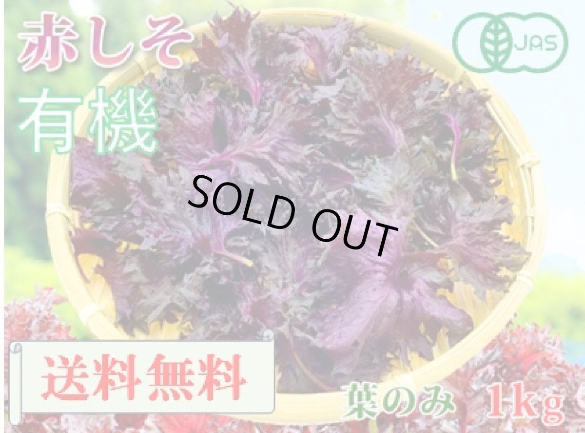 画像1: 送料無料！期間限定販売です。大分県産　有機　オーガニック　赤しそ(赤紫蘇)【葉】1000g (1)