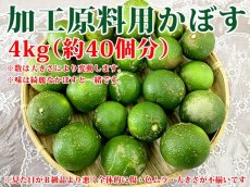 画像1: 【送料無料】加工用原料 有機かぼす 4kg (1)