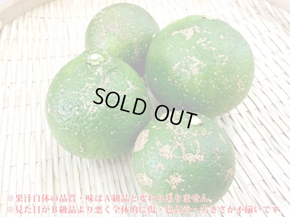 画像2: 【送料無料】加工用原料 有機かぼす 10kg (2)